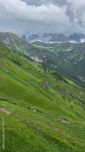 landscape in the mountains