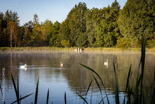 Poranna mgła na Karpnickich Stawach .Jest to region Kotliny Jeleniogórskiej bezpośrednio przylegający do kilku pasm Sudetów. photo