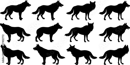  Set of wolf silhouette. wolfs black and white. wolf, dog, silhouette, wolf silhouette, wild, wolfs, jungle wolf, black wolf, retro wolf, wolf black design, wolf colony, wolf poses, wolf in jungle
