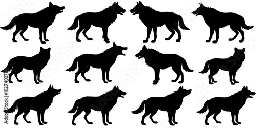  Set of wolf silhouette. wolfs black and white. wolf, dog, silhouette, wolf silhouette, wild, wolfs, jungle wolf, black wolf, retro wolf, wolf black design, wolf colony, wolf poses, wolf in jungle