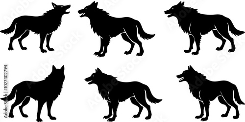  Set of wolf silhouette. wolfs black and white. wolf, dog, silhouette, wolf silhouette, wild, wolfs, jungle wolf, black wolf, retro wolf, wolf black design, wolf colony, wolf poses, wolf in jungle