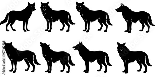  Set of wolf silhouette. wolfs black and white. wolf, dog, silhouette, wolf silhouette, wild, wolfs, jungle wolf, black wolf, retro wolf, wolf black design, wolf colony, wolf poses, wolf in jungle