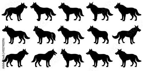  Set of wolf silhouette. wolfs black and white. wolf, dog, silhouette, wolf silhouette, wild, wolfs, jungle wolf, black wolf, retro wolf, wolf black design, wolf colony, wolf poses, wolf in jungle