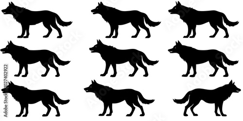  Set of wolf silhouette. wolfs black and white. wolf, dog, silhouette, wolf silhouette, wild, wolfs, jungle wolf, black wolf, retro wolf, wolf black design, wolf colony, wolf poses, wolf in jungle