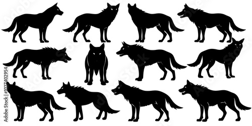  Set of wolf silhouette. wolfs black and white. wolf, dog, silhouette, wolf silhouette, wild, wolfs, jungle wolf, black wolf, retro wolf, wolf black design, wolf colony, wolf poses, wolf in jungle