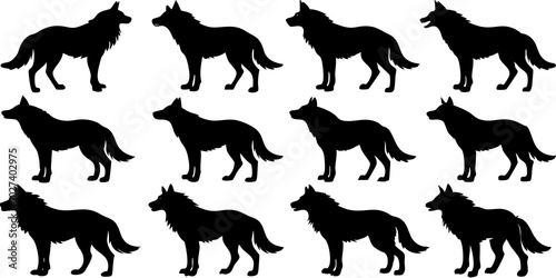  Set of wolf silhouette. wolfs black and white. wolf, dog, silhouette, wolf silhouette, wild, wolfs, jungle wolf, black wolf, retro wolf, wolf black design, wolf colony, wolf poses, wolf in jungle