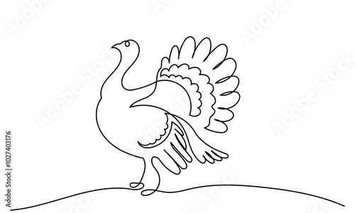 Continuous line drawing of turkey bird illustration.Farmyard Bird Animal
Thanksgiving Turkey line art vector isolated on a white background. Wild Osceola turkey
Meleagris gallopavo.
