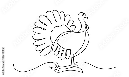 Continuous line drawing of turkey bird illustration.Farmyard Bird Animal
Thanksgiving Turkey line art vector isolated on a white background. Wild Osceola turkey
Meleagris gallopavo.
 photo