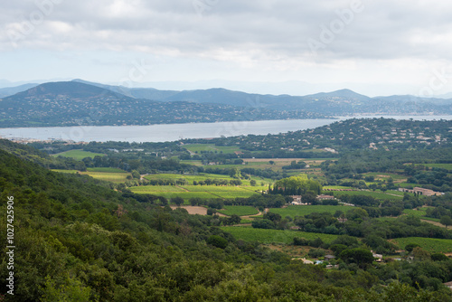 Landscape of French Riviera, view on hills, houses and green vineyards from above Cotes de Provence, production of rose wine near Saint-Tropez and Pampelonne beach, Var, France