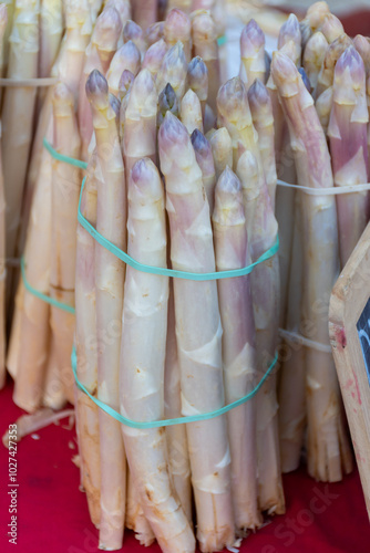 Fresh raw white asparagus vegetables for sale in local farmers market in Souillac, Dordogne, France. 1 kg bunches, locally produced in Payrignac photo