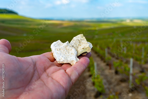 Hand with white chalk stones from soils of Cote des Blancs near Cramant and Avize, region Champagne, France and view on grand cru vineyards photo