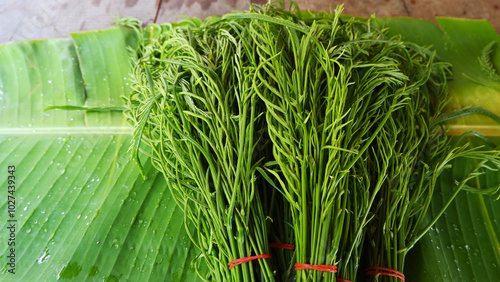 Acacia pennata (L.) Willd. Cha-om vegetables on banana leaves, a local Thai vegetable sold in the market