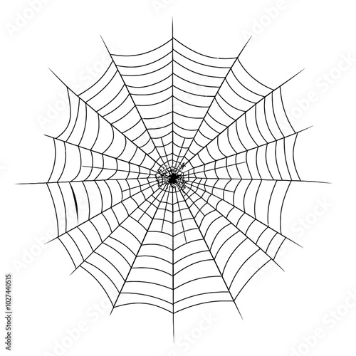 vector silhouette of spider web and spider