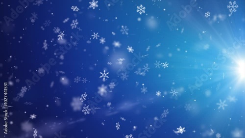 Wallpaper Mural Snow animation video overlay template. Beautiful falling snow, the sparkling glittering light of snow on a winter night, celebrating Christmas and Happy New Year Torontodigital.ca