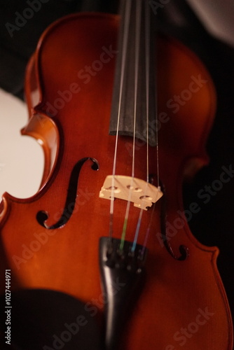 Close-up shot of a classic wooden violin, focusing on the bridge, strings, and f-holes