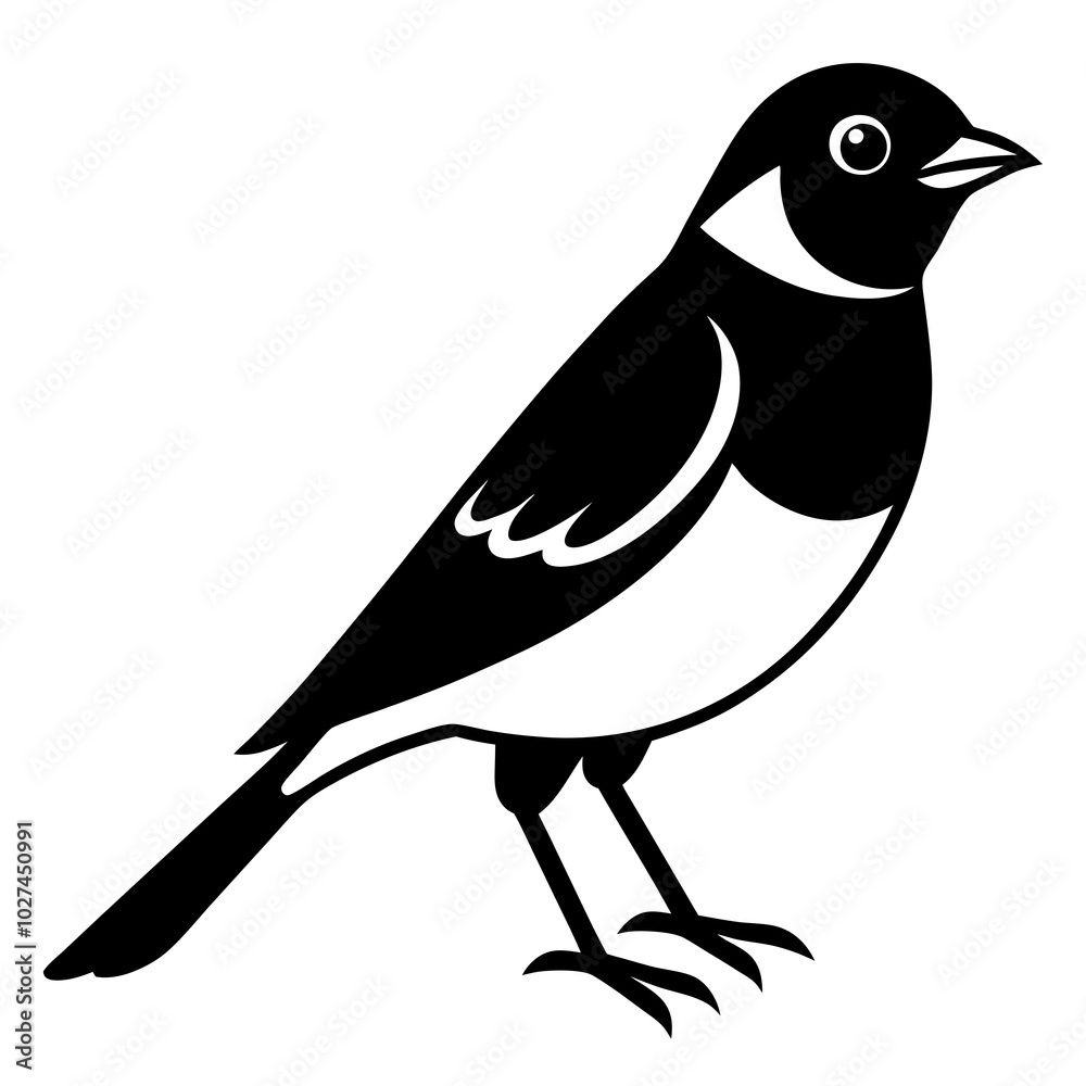 bird on a branch bird on a branch