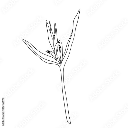 Основные RGB