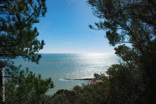 Canvas Print landscape of sea beach coastline seaside summer looking through trees