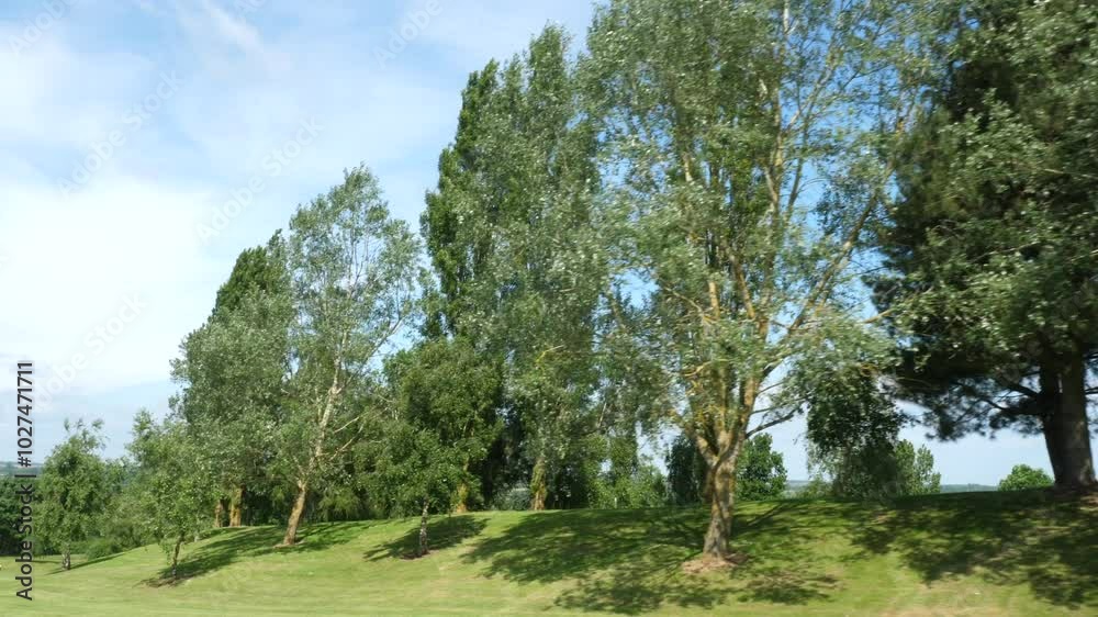 Right to left track along trees on a golf course. Right to left track along trees on a golf course.