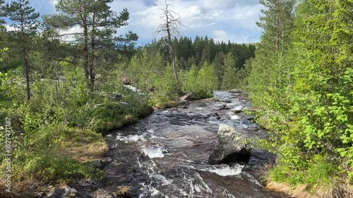 River runs over rocks in a forest
