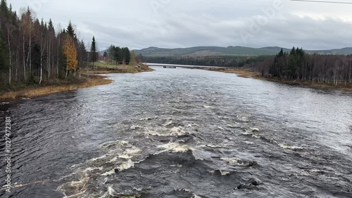 River runs through a forest