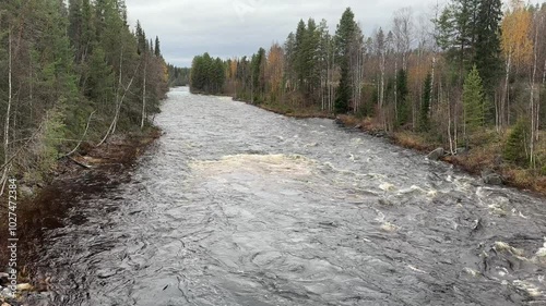 River runs through a forest