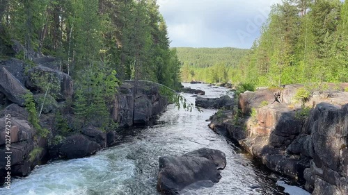River runs over rocks in a forest