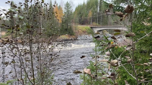 River runs over rocks in a forest