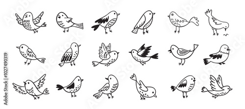 Bird doodle set. Birds hand drawn collection. Cute hand drawn bird doodles. Black on white drawing
