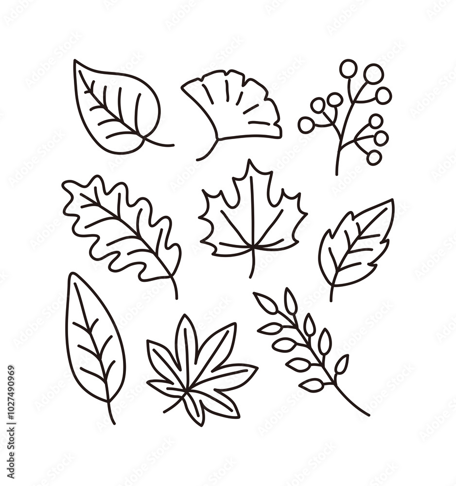 A set of hand-drawn line illustrations of various types of colorful fallen leaves with an autumn concept. A set of hand-drawn line illustrations of various types of colorful fallen leaves with an autumn concept.