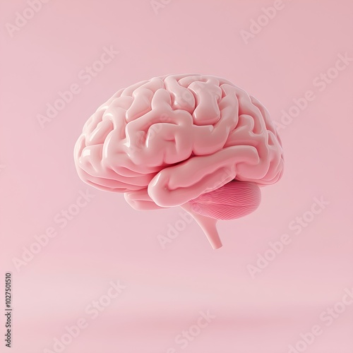 3D Illustration of Human Brain – Conceptual Medical Visualization in Pink