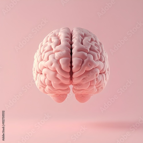 3D Illustration of Human Brain – Conceptual Medical Visualization in Pink