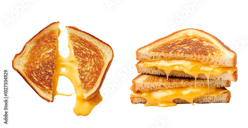 Grilled cheese sandwich, white isolate background