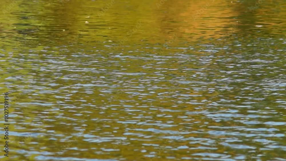 The flow of water in the river, bright colors of reflection The flow of water in the river, bright colors of reflection