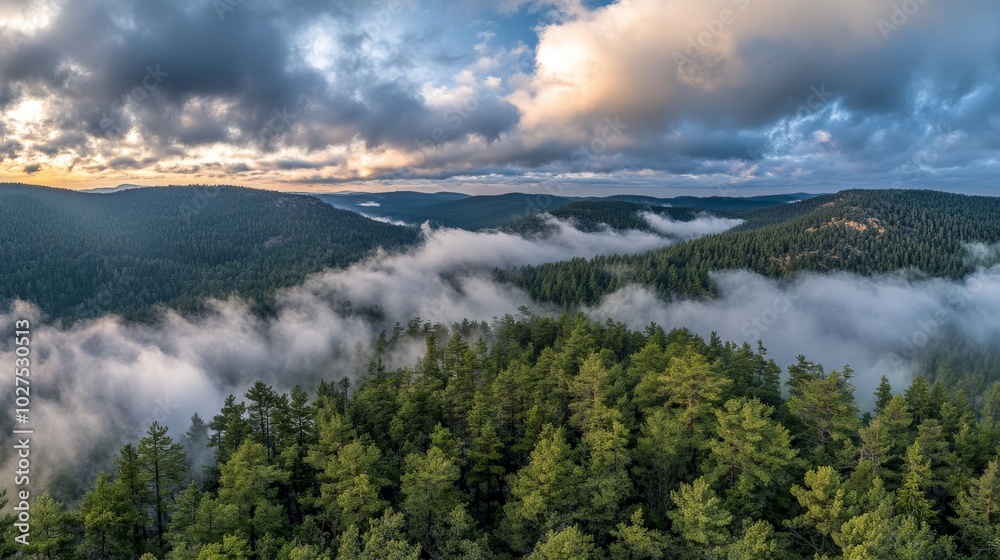 Obraz premium Enchanting Misty Mountain Landscape at Sunset
