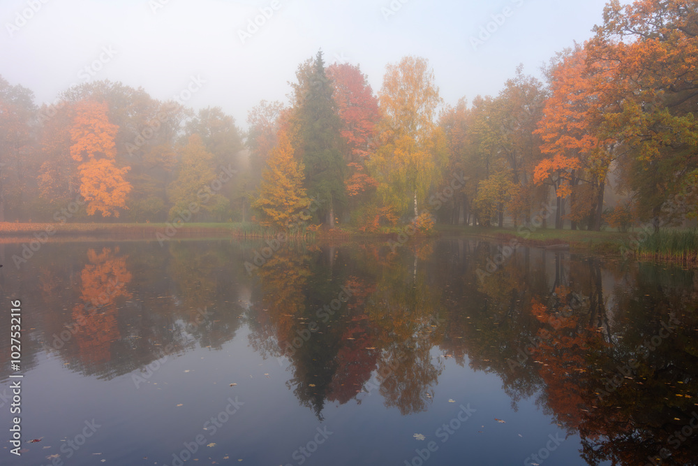 Morning autumn fog in Alexander park in Tsarskoe Selo (Pushkin), St. Petersburg, Russia Morning autumn fog in Alexander park in Tsarskoe Selo (Pushkin), St. Petersburg, Russia