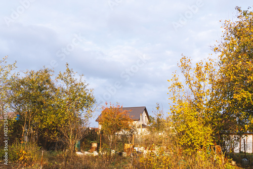 Golden autumn in the garden. Harvesting. Preparing for the winter season in the vegetable garden. Yellow foliage. Rustic natural fall garden. Background with copyspace.