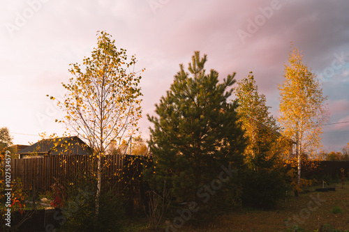 Golden autumn in the garden. Harvesting. Preparing for the winter season in the vegetable garden. Yellow foliage. Rustic natural fall garden. Background with copyspace.