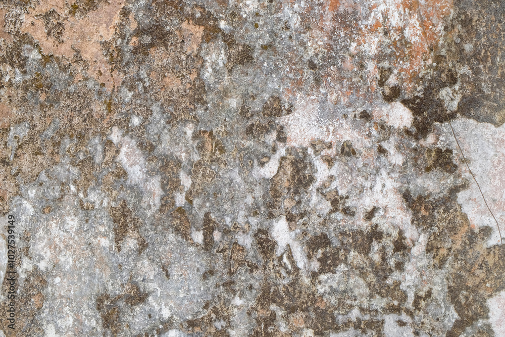 Abstract grunge shapes, patterns and textures of old walls. Old walls filled with dead moss spots. Gives a vintage and unique impression. For graphic design or banner background Abstract grunge shapes, patterns and textures of old walls. Old walls filled with dead moss spots. Gives a vintage and unique impression. For graphic design or banner background