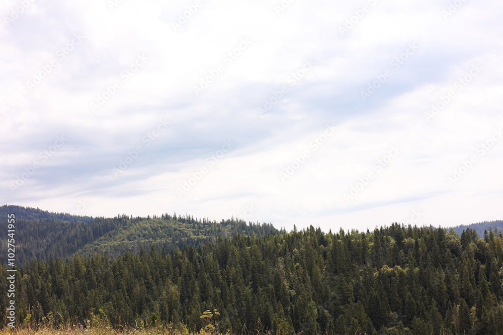 Beautiful view of forest in mountains under blue sky Beautiful view of forest in mountains under blue sky