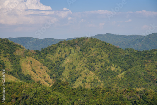 rain forest at Khao Kho, Phetchabun, Thailand