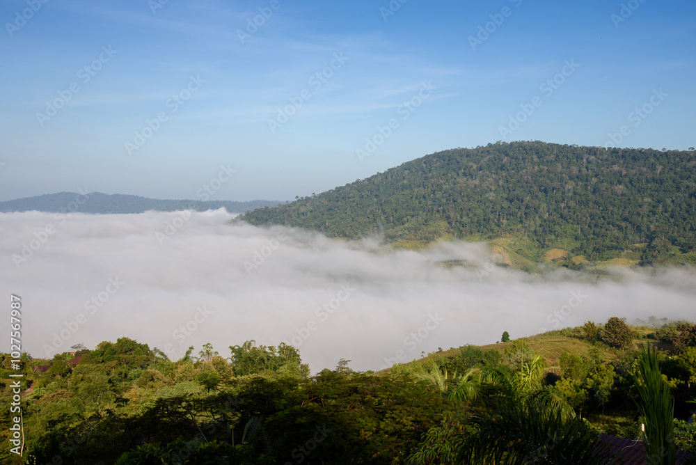 Fototapeta premium the mist at Khao Kho, Phetchabun, Thailand