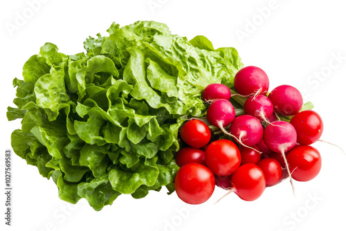 Fresh lettuce and radishes, perfect for salads, on white isolated background.