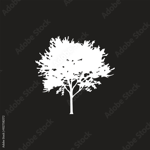 Detailed tree silhouettes of various trees on white background