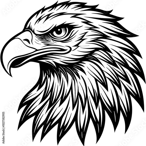 black eagle head silhouette vector bird illustration 