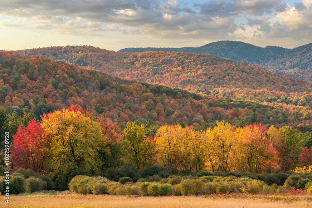 colorful foliage at sunset in the Adirondack mountains colorful foliage at sunset in the Adirondack mountains