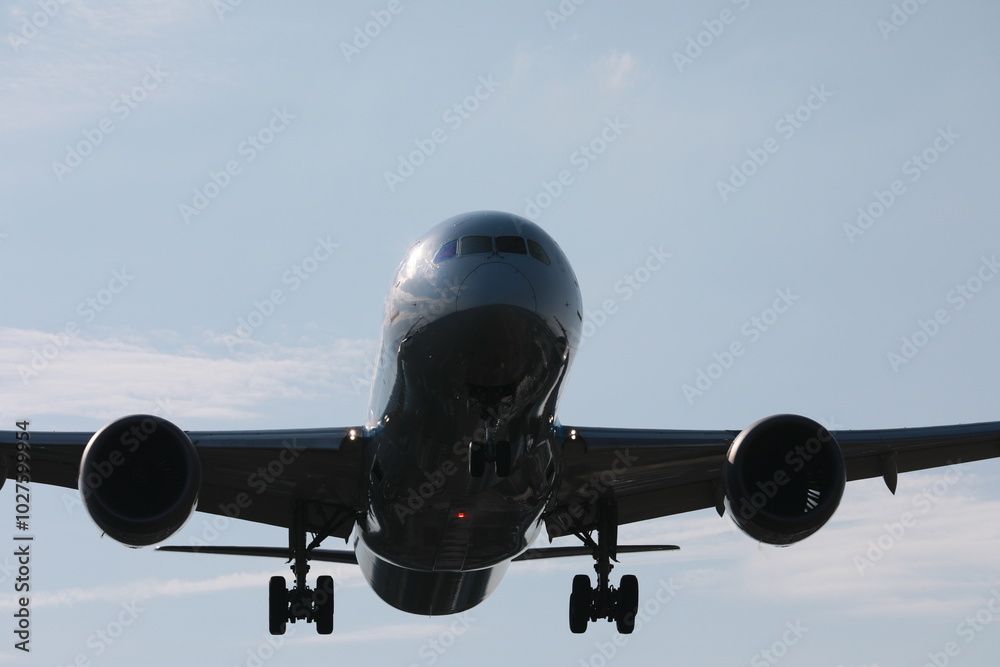 Fototapeta premium Commercial airline.