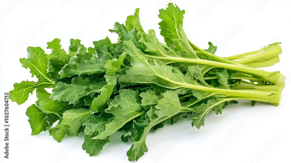 image of the mustard greens. on a white background. cut off --ar 16:9 --v 6.1 Job ID: 127ab3f9-e4ea-4021-9b9a-a2762d7f9609 image of the mustard greens. on a white background. cut off --ar 16:9 --v 6.1 Job ID: 127ab3f9-e4ea-4021-9b9a-a2762d7f9609