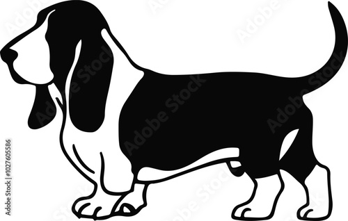 beagle dog vector illustration
