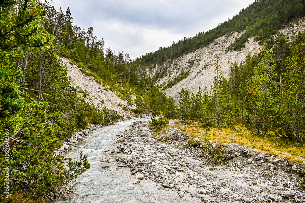 Zernez, Ofenpass, Bach, Ova dal Fuorn, Wanderweg, Uferweg, Passstrasse, Engadin, Nationalpark, Alpen, Herbst, Herbstfarben, Graubünden, Schweiz Zernez, Ofenpass, Bach, Ova dal Fuorn, Wanderweg, Uferweg, Passstrasse, Engadin, Nationalpark, Alpen, Herbst, Herbstfarben, Graubünden, Schweiz